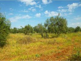 Chalet en venta en Carmona, Carmona photo 0