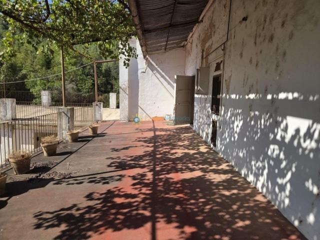 Casa con terreno en venta en Alcira, A las afueras photo 0