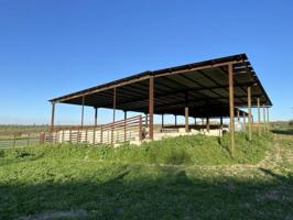 Nave industrial en alquiler en Morón de la Frontera, Moron De la Frontera photo 0