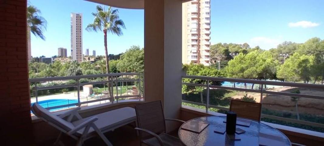 Apartamento en alquiler en Benidorm, Playa Poniente photo 0
