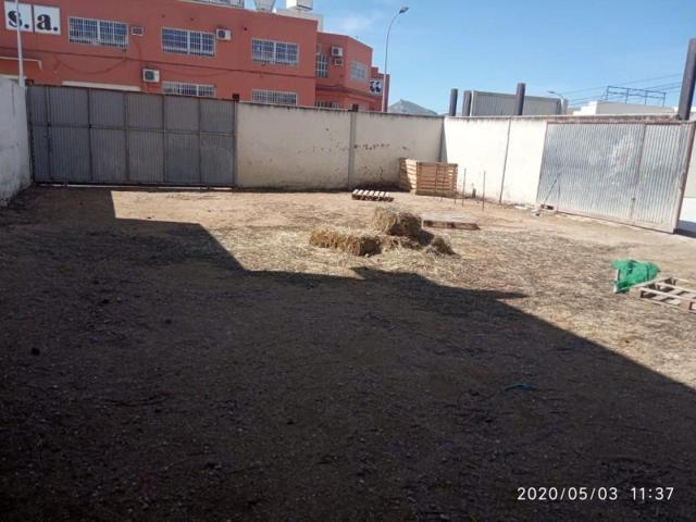 Terreno en alquiler en Torredonjimeno, Torredonjimeno photo 0