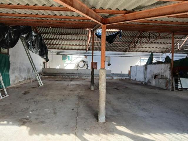 Nave industrial en alquiler en El Álamo, Carreteta de El Alamo, 28607 photo 0