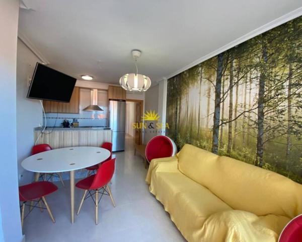 Aticos en alquiler en Pilar de la Horadada, Torre De La Horadada photo 0