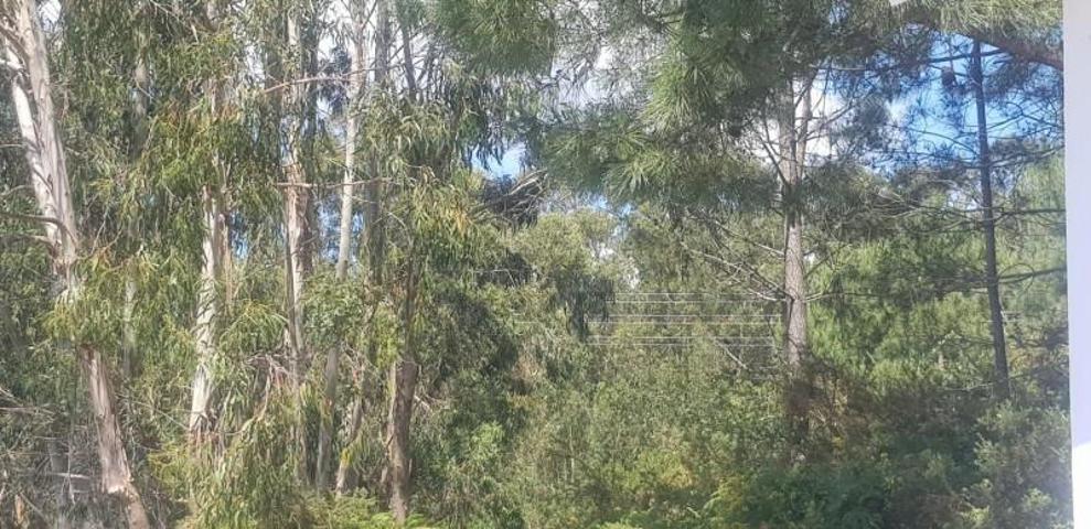 Terreno en alquiler en O Grove, Arriba, 36988 photo 0