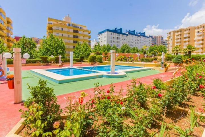 Apartamento en alquiler en Calpe, Calpe photo 0