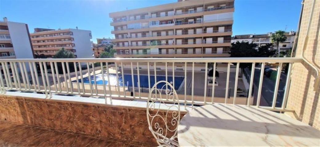 Apartamento en alquiler en Torrevieja, Punta prima photo 0