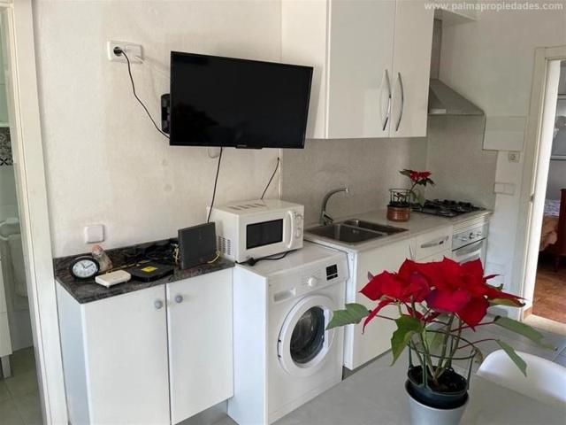 Planta baja en alquiler en Alcúdia, PUERTO DE ALCUDIA photo 0