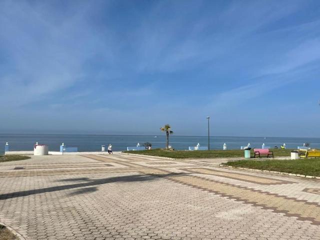 Local comercial en alquiler en Matalascañas, Sector Palmito photo 0