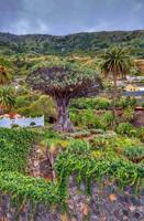 Casa con terreno en alquiler en Icod de los Vinos, Camino Cuatro Caminos, 38430 photo 0