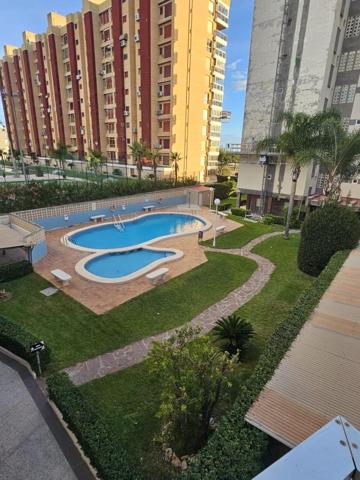 Apartamento en alquiler en Gandia, Playa de Gandia photo 0