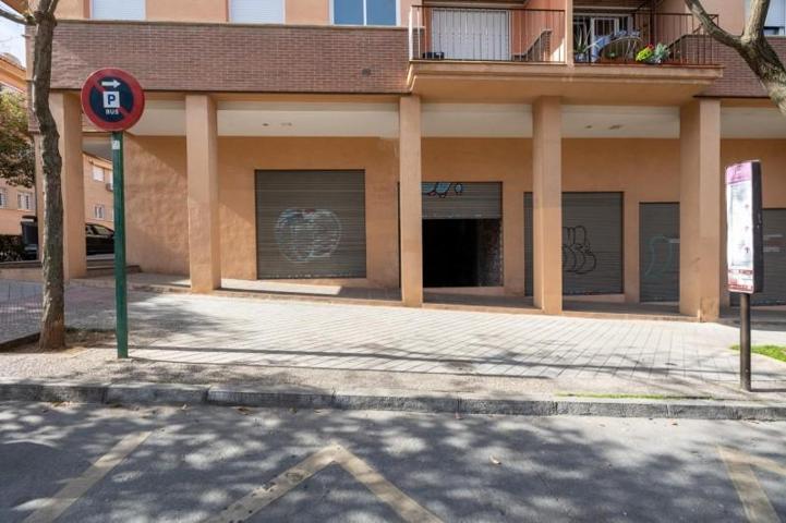 Local comercial en alquiler en Granada, El serrallo photo 0