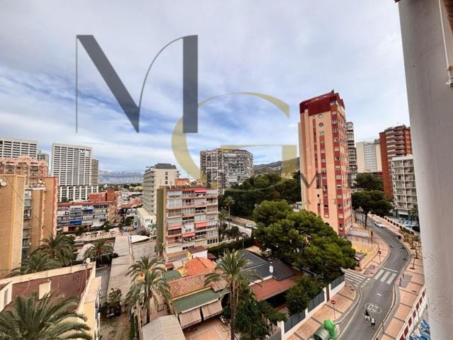 Piso en alquiler en Benidorm photo 0