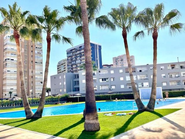 Apartamento en alquiler en la Pobla de Farnals, PLAYA POBLA DE FARNALS photo 0