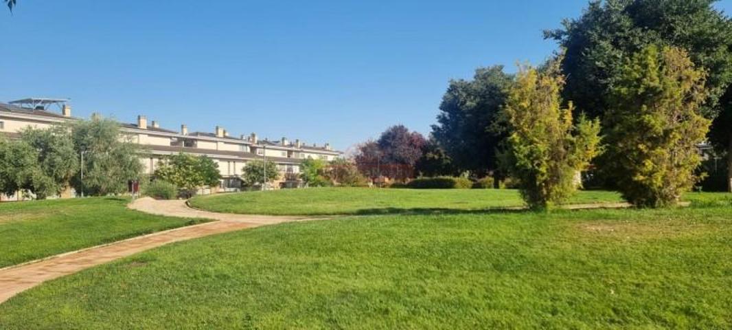 Local comercial en alquiler en Albacete, Facultad de Medicina photo 0