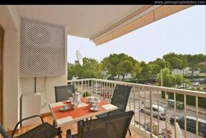 Apartamento en alquiler en Alcúdia, PUERTO DE ALCUDIA photo 0