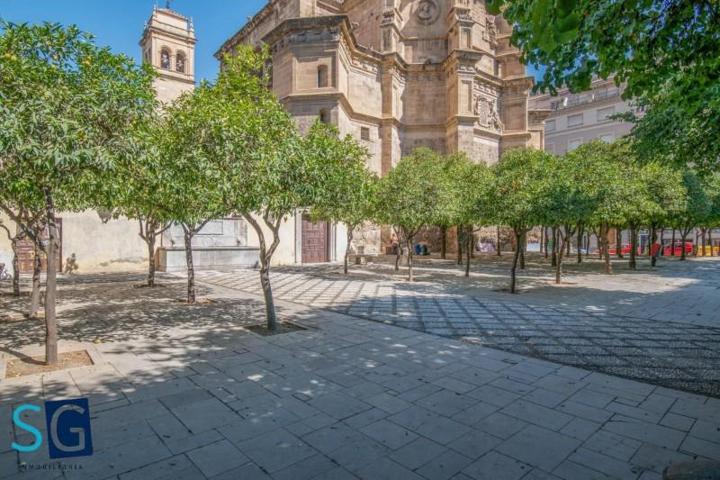 Local comercial en alquiler en Granada, Gran via photo 0