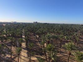 Piso en alquiler en Elche, Centro photo 0