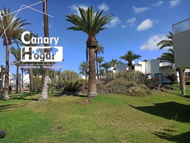 Apartamento en alquiler en Arona, Costa del Silencio photo 0