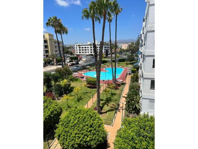 Apartamento en alquiler en San Bartolomé de Tirajana photo 0