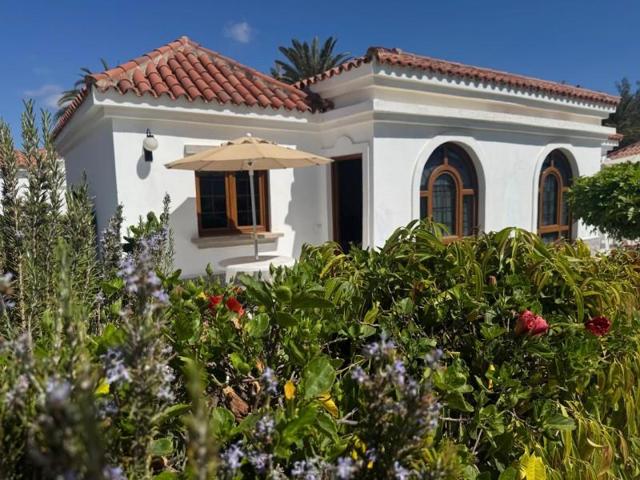 Bungalow en alquiler en San Bartolomé de Tirajana, Maspalomas-Meloneras photo 0
