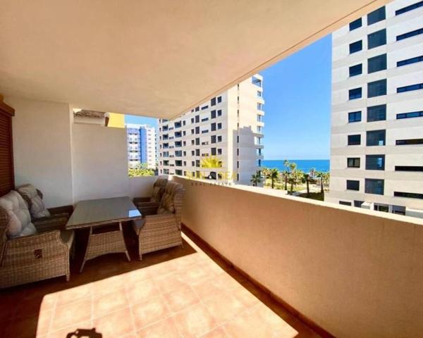 Apartamento en alquiler en Torrevieja, Punta prima photo 0