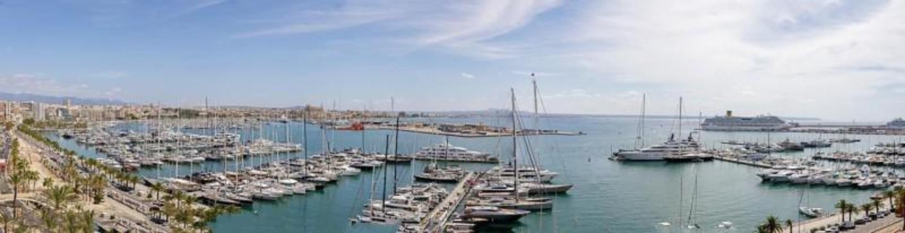 Local comercial en alquiler en Mallorca, El Terreno photo 0