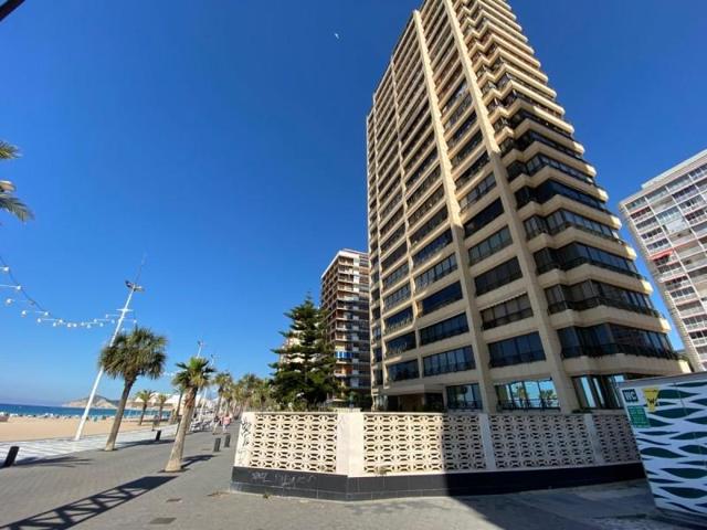 Apartamento en alquiler en Benidorm, Levante photo 0