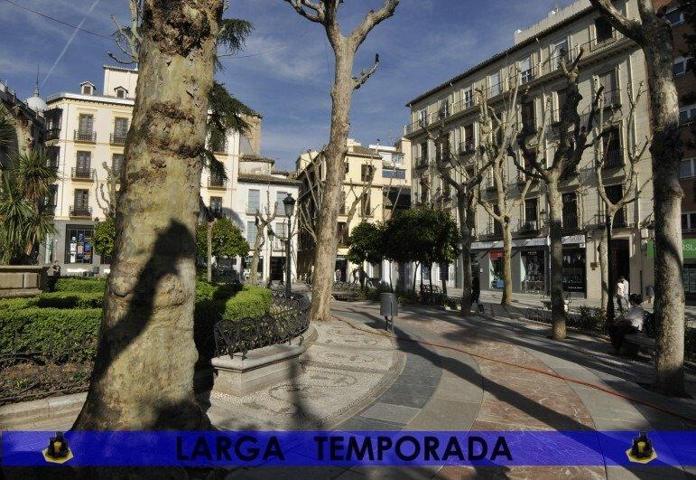 Duplex en alquiler en Granada, Centro photo 0