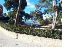 Local comercial en alquiler en Calvia, Santa Ponsa photo 0