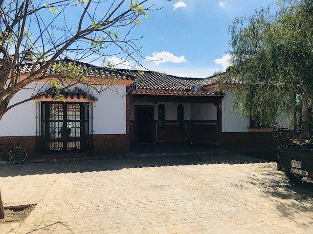 Chalet en alquiler en Chiclana de la Frontera, La rana verde photo 0