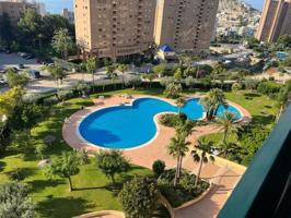 Apartamento en alquiler en Benidorm, Cala de Benidorm photo 0