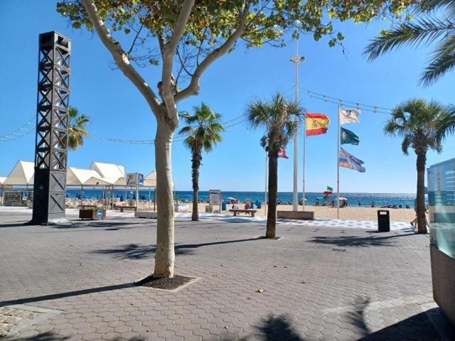 Apartamento en alquiler en Benidorm, Levante photo 0