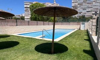 Apartamento en alquiler en Alicante photo 0