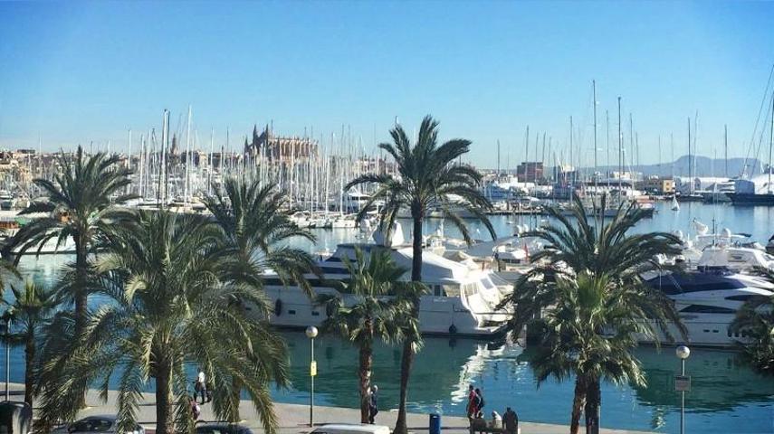 Piso en alquiler en Mallorca, Paseo Marítimo photo 0