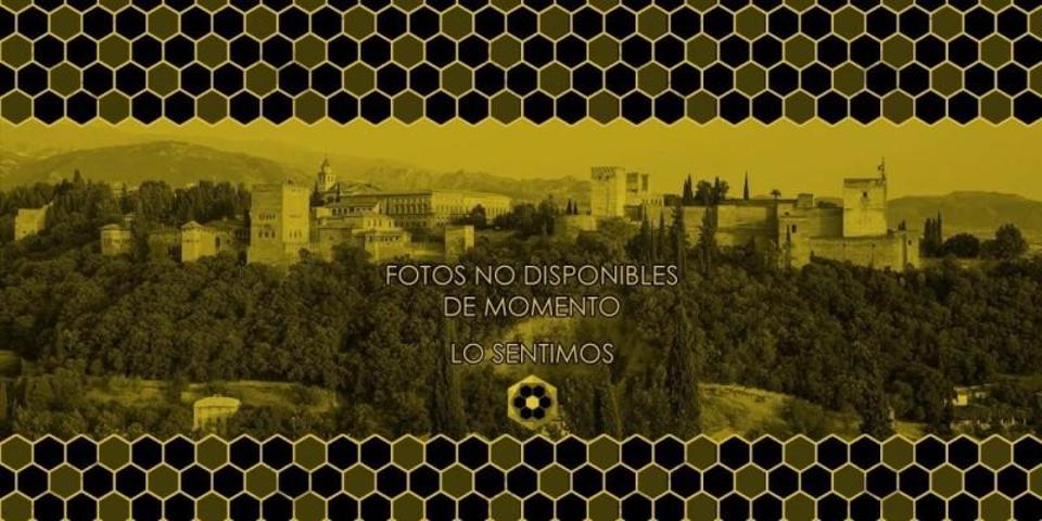 Chalet en alquiler en Granada, Albaycin photo 0