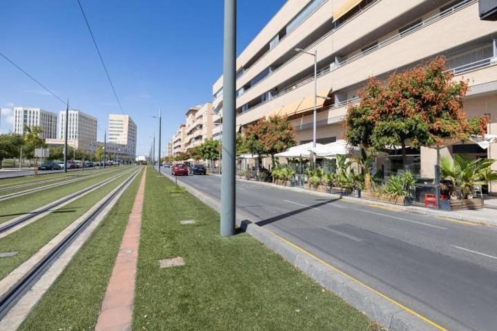 Local comercial en alquiler en Granada, Palacio de deportes photo 0
