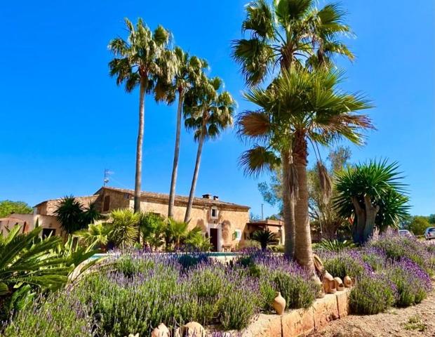 Chalet en alquiler en Felanitx, SHorta - Cas Concos des Cavaller photo 0