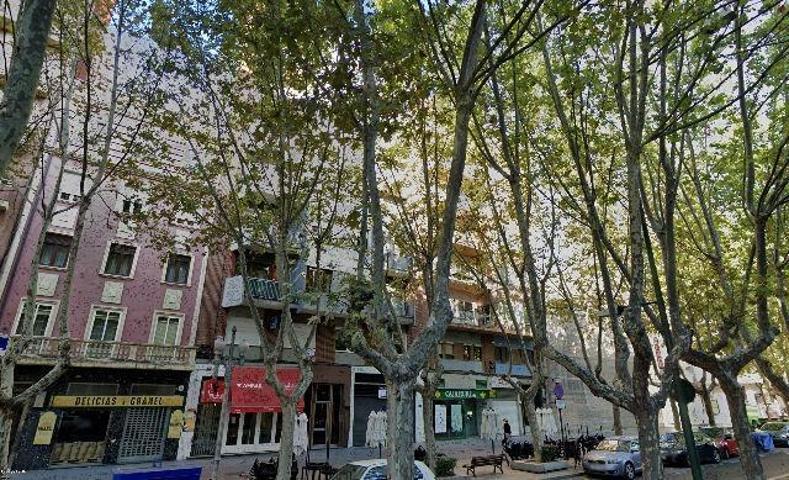 Local comercial en alquiler en Valladolid, Paseo Zorrilla photo 0