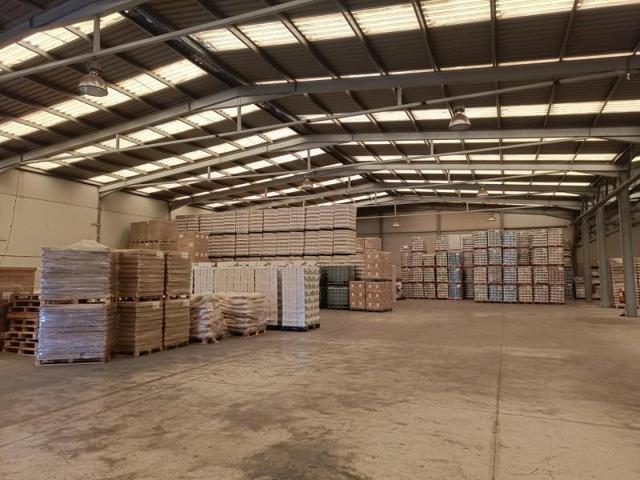 Nave industrial en alquiler en Alcantarilla, Poligono indus. oeste photo 0