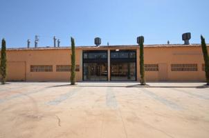 Local comercial en alquiler en Sant Pere de Ribes, Vilanoveta photo 0