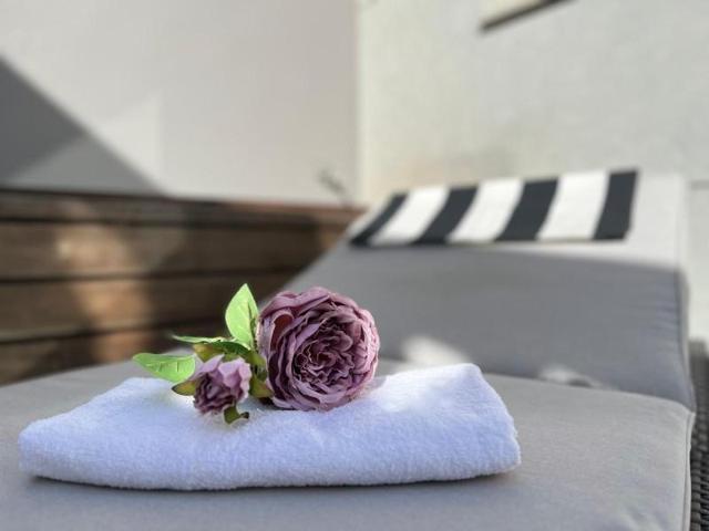 Aticos en alquiler en Valencia, Sant Francesc photo 0