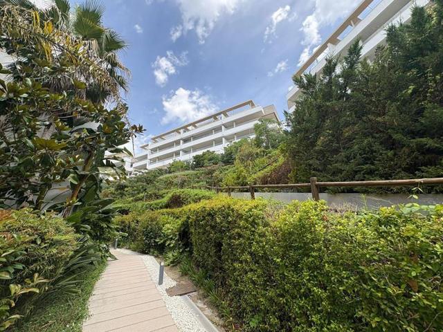 Planta baja en alquiler en Benahavís, Botanic photo 0