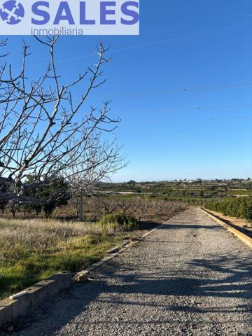 Terreno en alquiler en Picassent, Comunidad valenciana photo 0