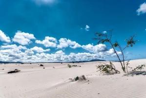Nave industrial en alquiler en Puerto del Rosario photo 0