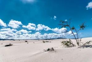 Local comercial en alquiler en Puerto del Rosario, LOS POZOS photo 0