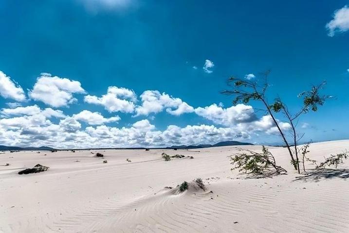 Local comercial en alquiler en Puerto del Rosario, LOS POZOS photo 0