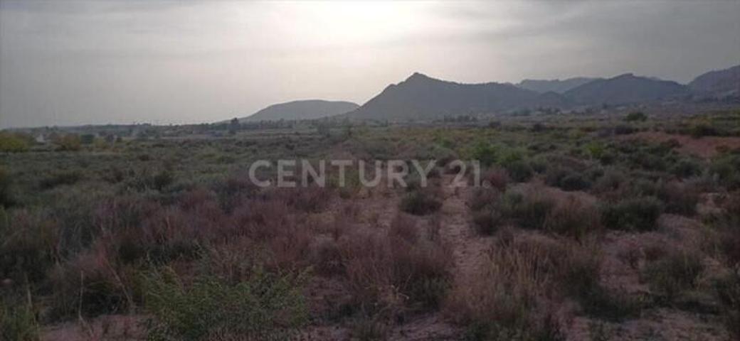 Terreno en alquiler en Abanilla, ABANILLA photo 0