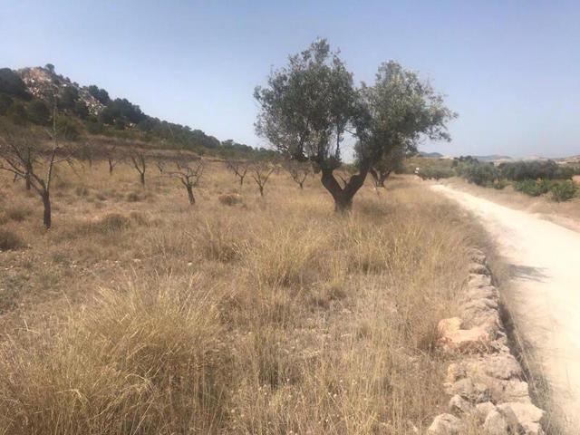 Terreno en alquiler en Abanilla, Abanilla photo 0