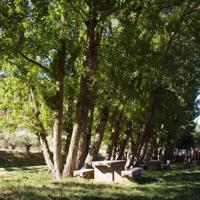 Terreno en alquiler en Frailes, Andalucia photo 0