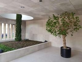 Local comercial en alquiler en Madrid, Chamartín photo 0